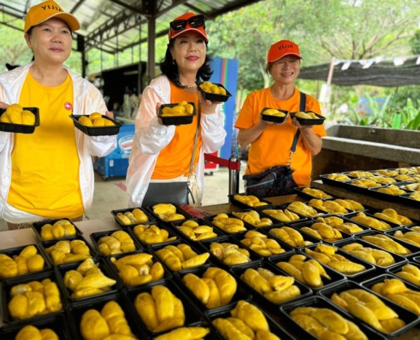 The Bentong Farm Durian Fantastic